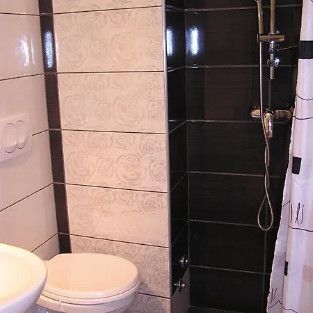 Apartmani Radosav Šilo Cameră foto